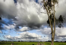 3377体育：張揚勝利 上海海港第22輪大勝梅州客家7比2.