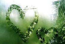 3377体育：[流言板]Creme使用塞拉斯打出7／0／12战绩，斩获TES对阵BLG第二局MVP22亮53回复.